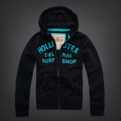 Hollister Men Hoodies-112